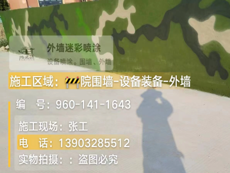 海南 迷彩漆喷涂价格（按平方米计费）