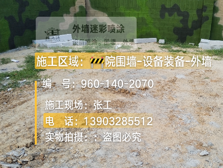海南迷彩漆喷涂方法（通用 + 数码专项