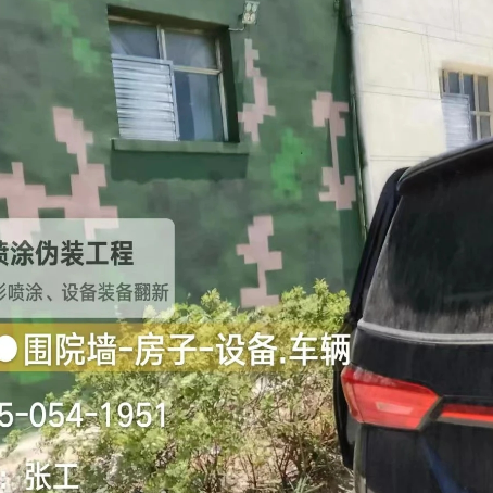 海南数码迷彩漆施工